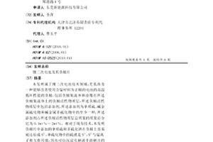 锂二次电池及其负极片