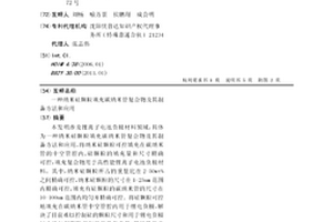 纳米硅颗粒填充碳纳米管复合物及其制备方法和应用