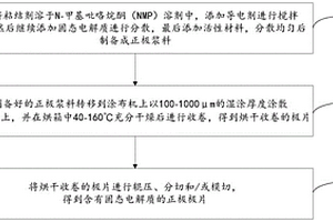 含有固态电解质的正极极片及其制备方法和应用