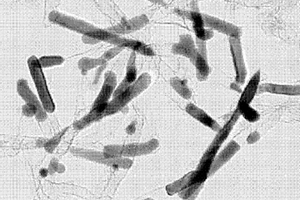 碳锡纳米复合粉体的制备方法与应用