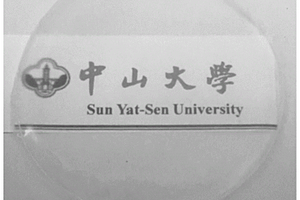 半互穿网络双盐固态电解质及其制备方法