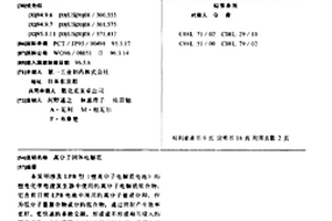 高分子固体电解质