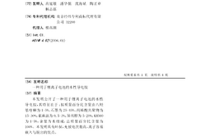用于锂离子电池的水性导电胶