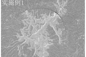 聚合物固态电解质膜的制备方法