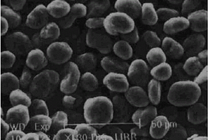 超高容量球形石墨负极材料及其生产方法