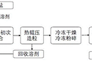 固态电解质及其制备方法和应用