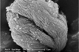 具有纳米片－微米球二级结构的磷酸铁晶体的制备方法