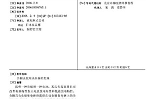 负极及使用该负极的电池