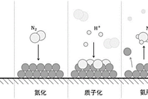 电化学合成氨