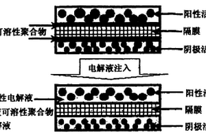 涂布有电解液可混溶的聚合物的隔膜及使用该隔膜的电化学器件
