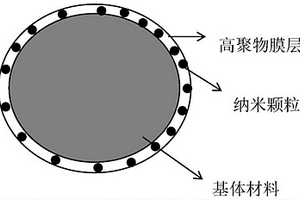 具有三维Li+扩散通道的自愈合层状正极材料及其制备方法