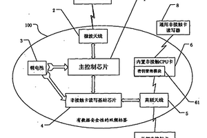 有数据安全性的双频标签