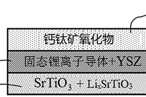 固态燃料电池及其制备方法