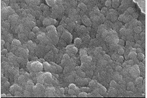 微波热处理金尾矿制造低膨胀微晶玻璃的方法