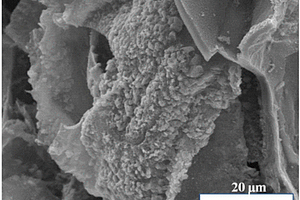 Mo<sub>2</sub>C/MoO<sub>2</sub>/C电极材料及其制备方法