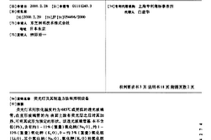 荧光灯及其制造方法和照明设备