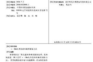 α-MnO2单晶纳米棒的制备方法