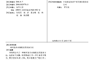 纳米复合水凝胶及其制备方法