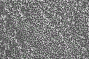 小粒度高掺量铌钨钽四氧化三钴的制备方法