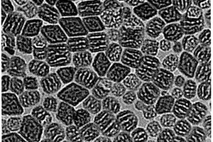 多孔稀土掺杂Li<sub>4</sub>ZrF<sub>8</sub>上转换纳米晶及其制备方法