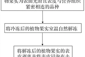 生物离子传输膜、制备方法及其应用