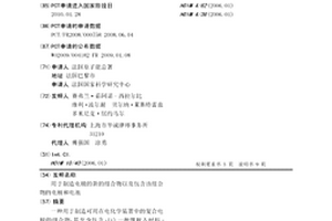 用于制造电极的新的组合物以及包含该组合物的电极和电池