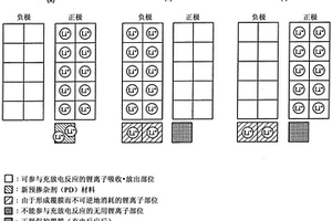 预掺杂剂、使用该预掺杂剂的蓄电装置及其制造方法
