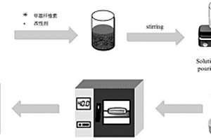 纤维素/聚碳酸酯固体聚合物电解质及制备方法