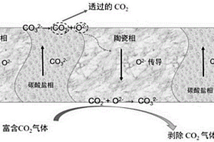 以陶瓷材料为支撑体的陶瓷-碳酸盐致密双相无机膜