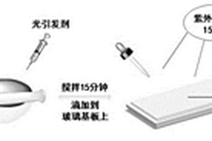 新型凝胶电解质及在全固态电致变色器件中的应用