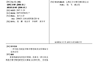 有机无机复合聚合物电解质及其制备方法和应用