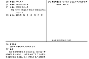 复合聚合物电解质及其制备方法