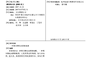聚合物电池阴阳极膜