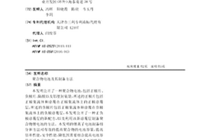 聚合物电池及其制备方法
