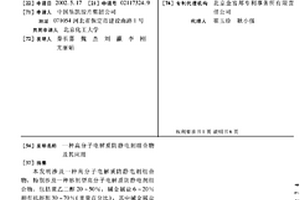 高分子电解质防静电剂组合物及其应用