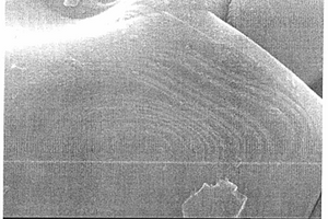 非水电解质二次电池及非水电解质二次电池用正极