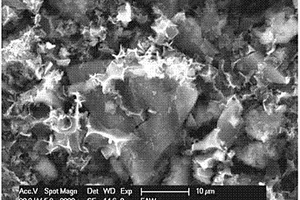 稻壳基活性炭作为电极材料的有机系混合电容器