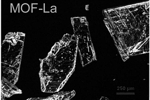 荧光纳米探针及其制备方法和其在生物传感中的应用
