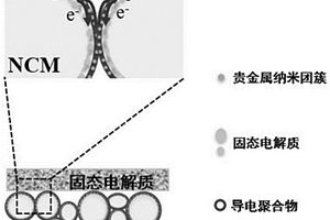 柔性界面包覆的正极材料及固态电池
