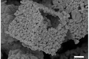 空心笼状四氧化三铁纳米颗粒及其制备方法