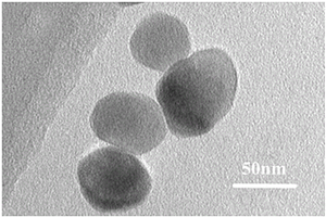 利用环己醇-水两相界面反应制备α-Fe<sub>2</sub>O<sub>3</sub>纳米颗粒的方法及用途