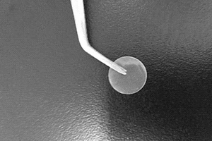 全固态环保型生物聚合物电解质膜的制备方法