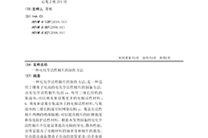 电化学活性极片的制作方法