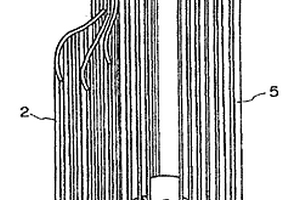 用于无水二次电池的含碳电极材料
