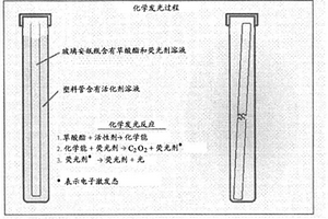 组合的热和化学发光反应系统