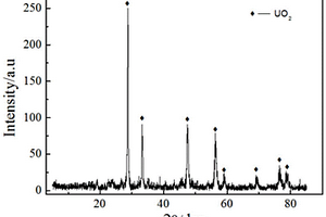 重铀酸钠(Na<Sub>2</Sub>U<Sub>2</Sub>O<Sub>7</Sub>)直接制备UO<Sub>2</Sub>的方法
