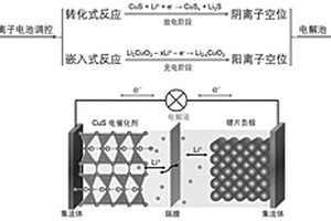 催化CO<Sub>2</Sub>还原用电催化剂的离子空位的制造方法