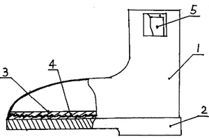 电热暖脚保健鞋
