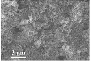 锌位钠铜共掺杂协同氮硫掺杂碳包覆改性钛酸锌负极材料及其制备方法和用途