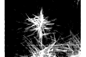 合成α-MnO2微米空心球和纳米团簇的方法